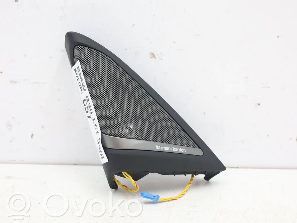 Maskownica głośnika drzwi przednich   7464601MWGK,7464601