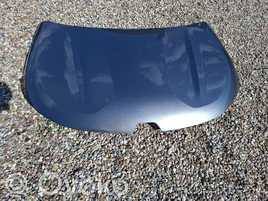 Renault Austral Konepelti 