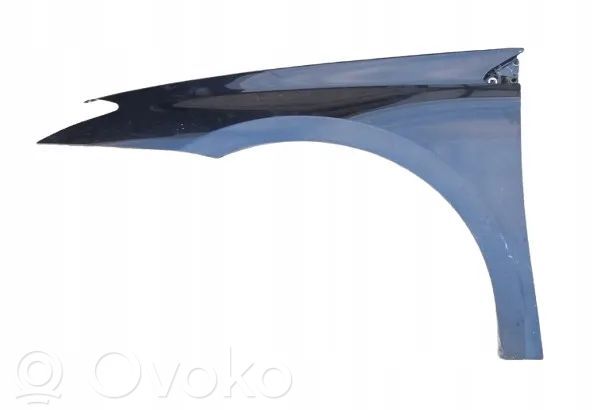 Renault Laguna III Błotnik przedni 