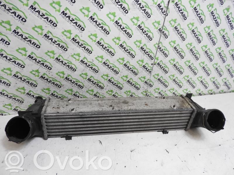 Intercooler radiator   17517524916