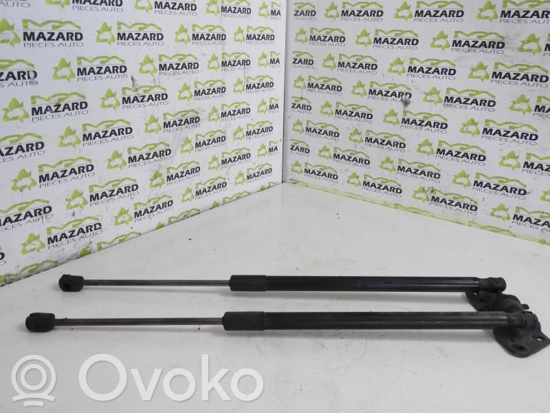 Ford Focus Tailgate/trunk strut/damper 