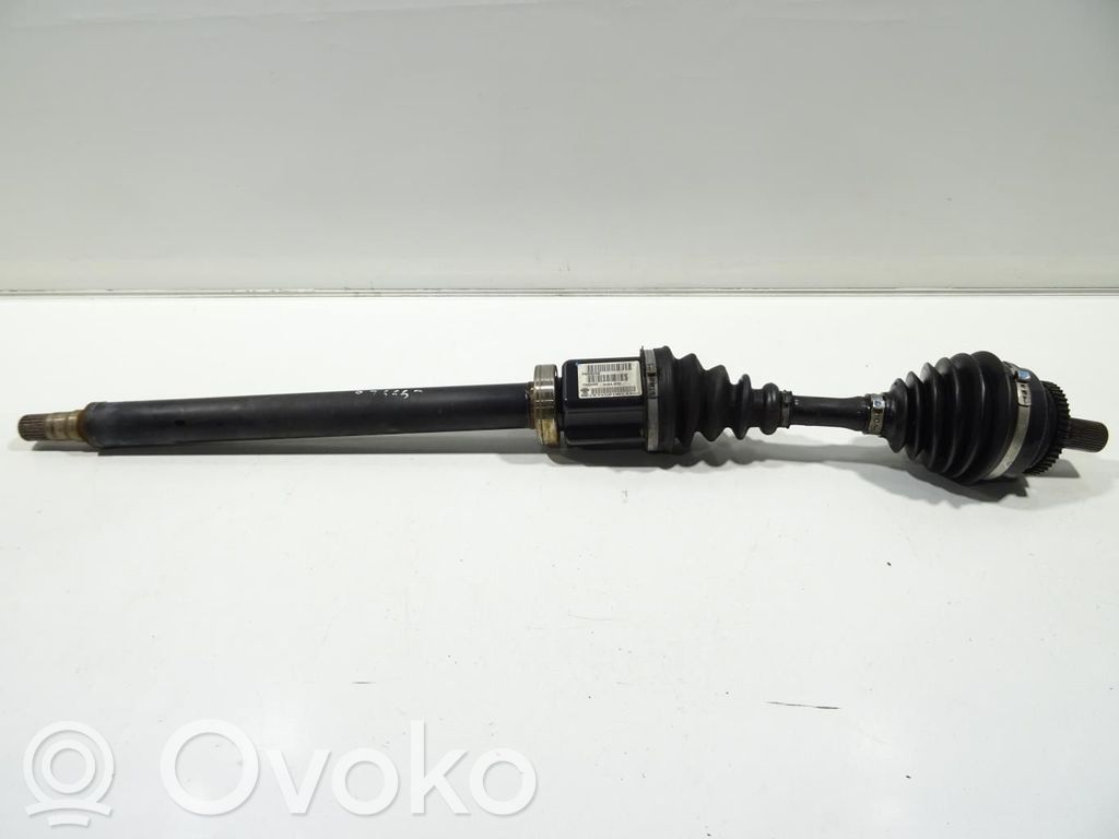Priekšējā pusass   8251516