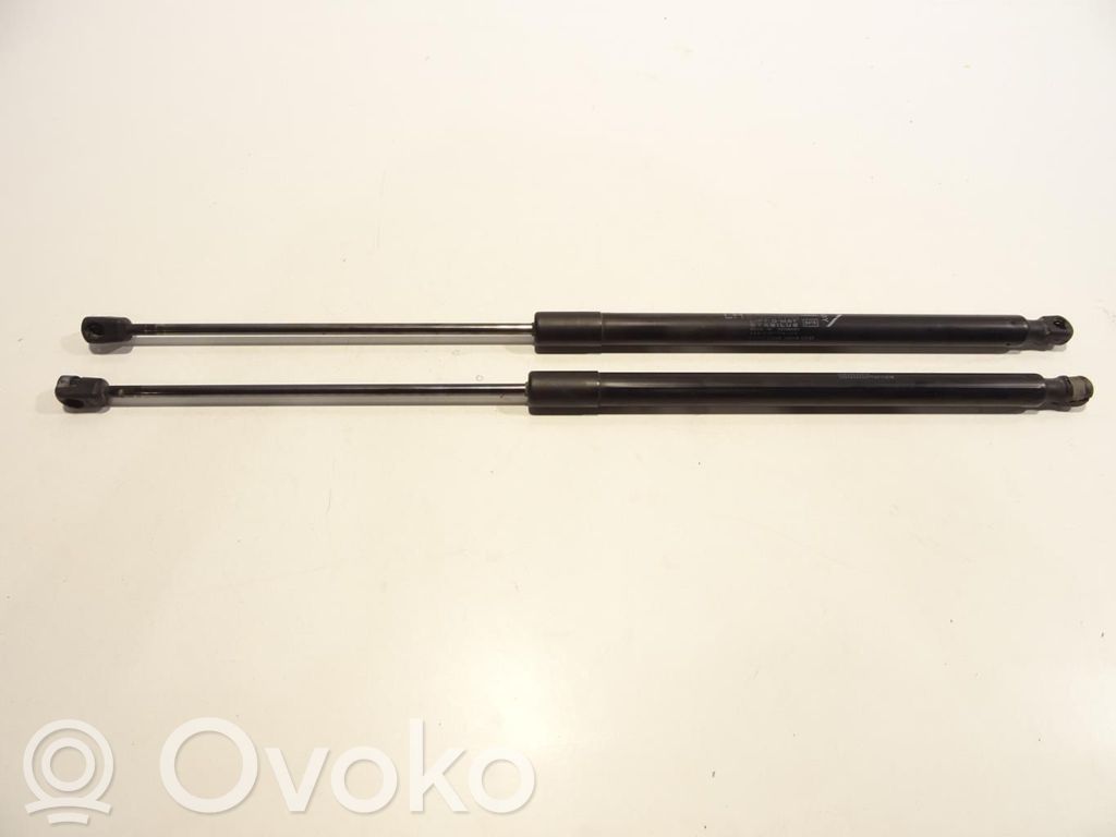 Fiat Tipo Tailgate/trunk strut/damper 