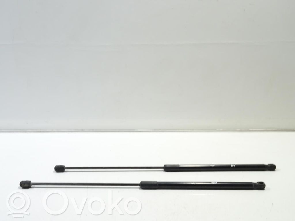 Land Rover Range Rover Evoque L538 Tailgate/trunk strut/damper 