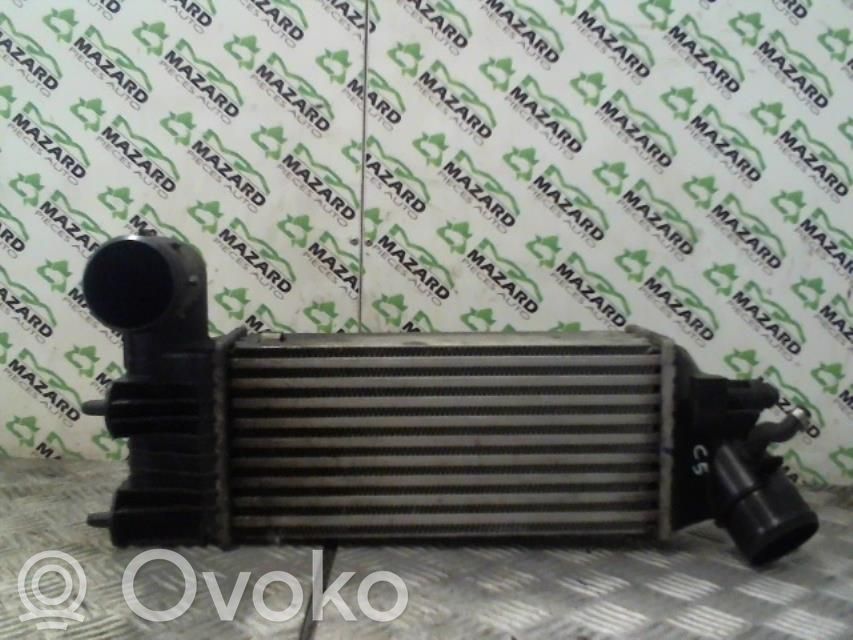 Interkūlerio radiatorius   00000384F3