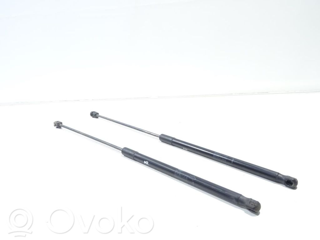 Land Rover Range Rover Evoque L538 Tailgate/trunk strut/damper 