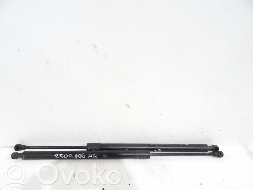 Tailgate/trunk strut/damper   8200219322