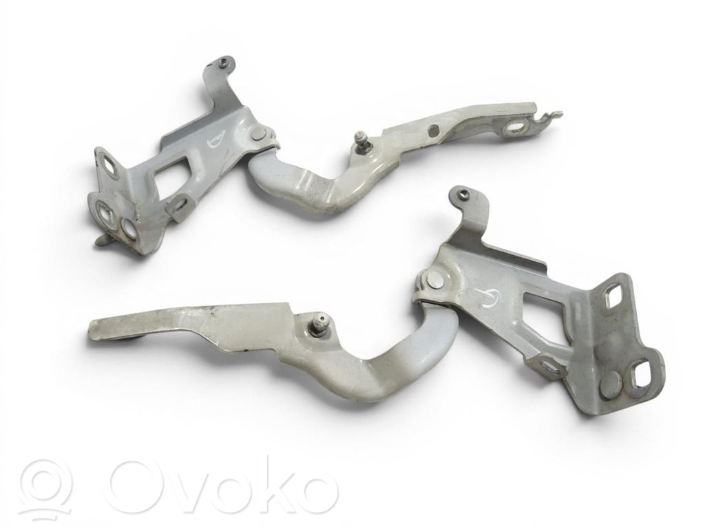 Renault Trafic III (X82) Engine bonnet/hood hinges 
