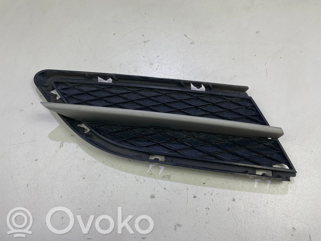 Front bumper lower grill