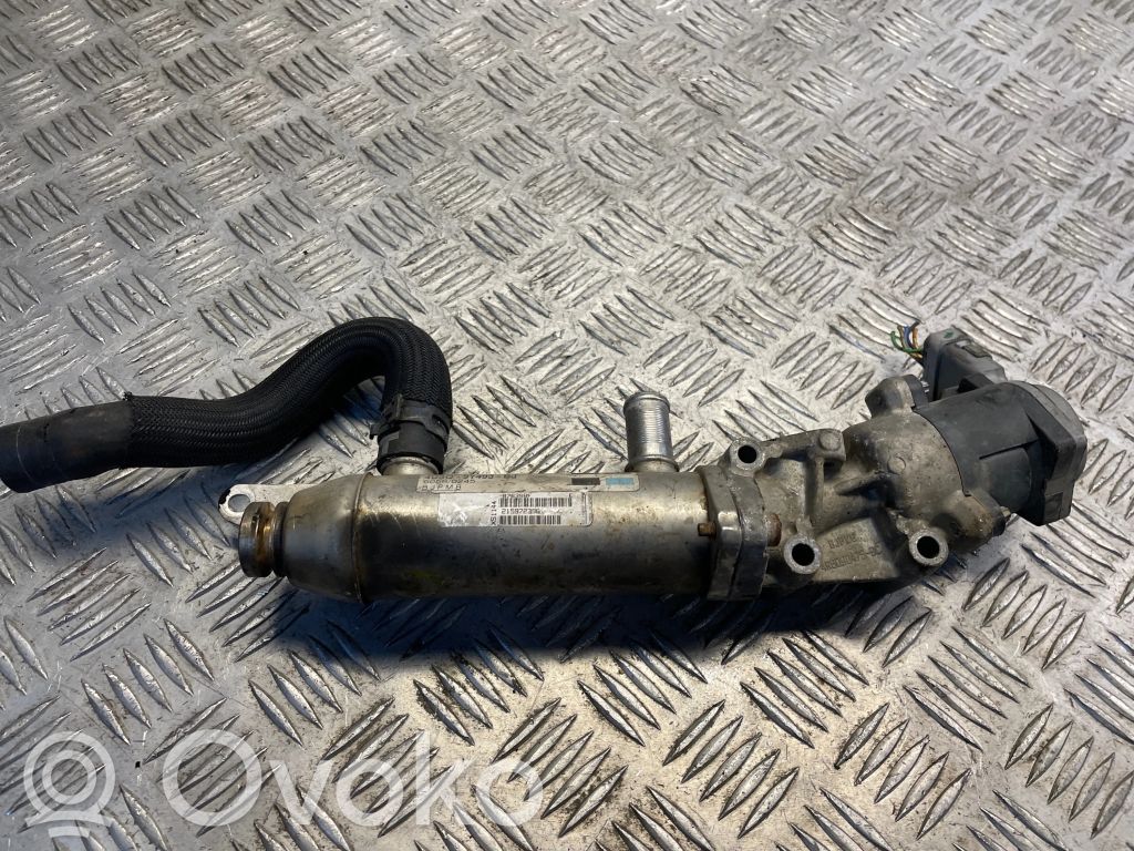 Peugeot 607 Răcitor supapă EGR 