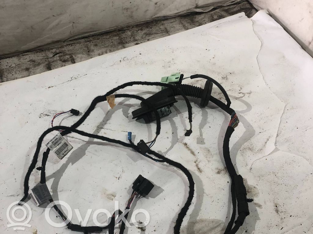 Cableado de puerta delantera   9120785,0010683