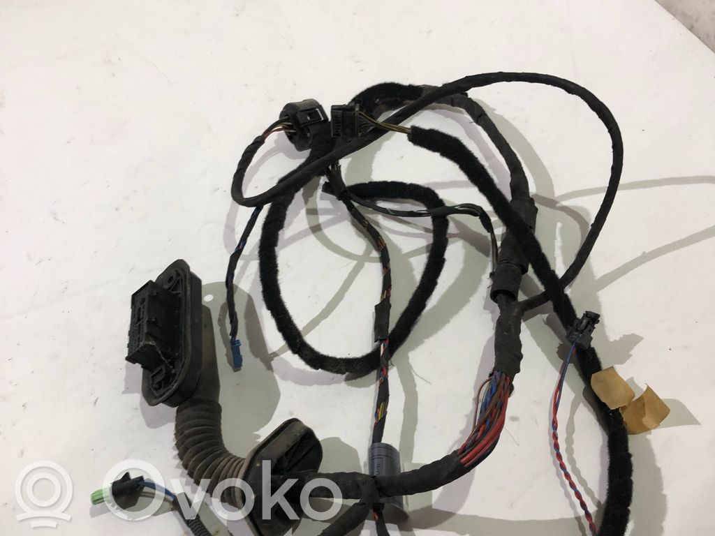 Front door wiring loom   6972556,09052006,EE409U