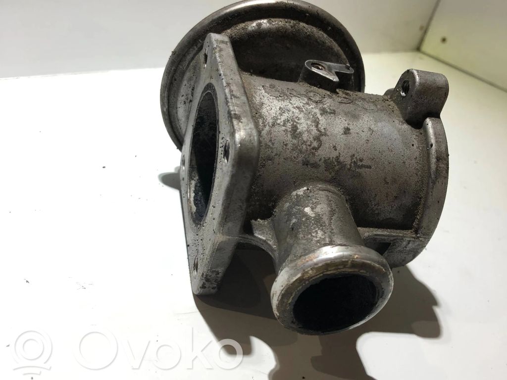 EGR vožtuvas   7791450
