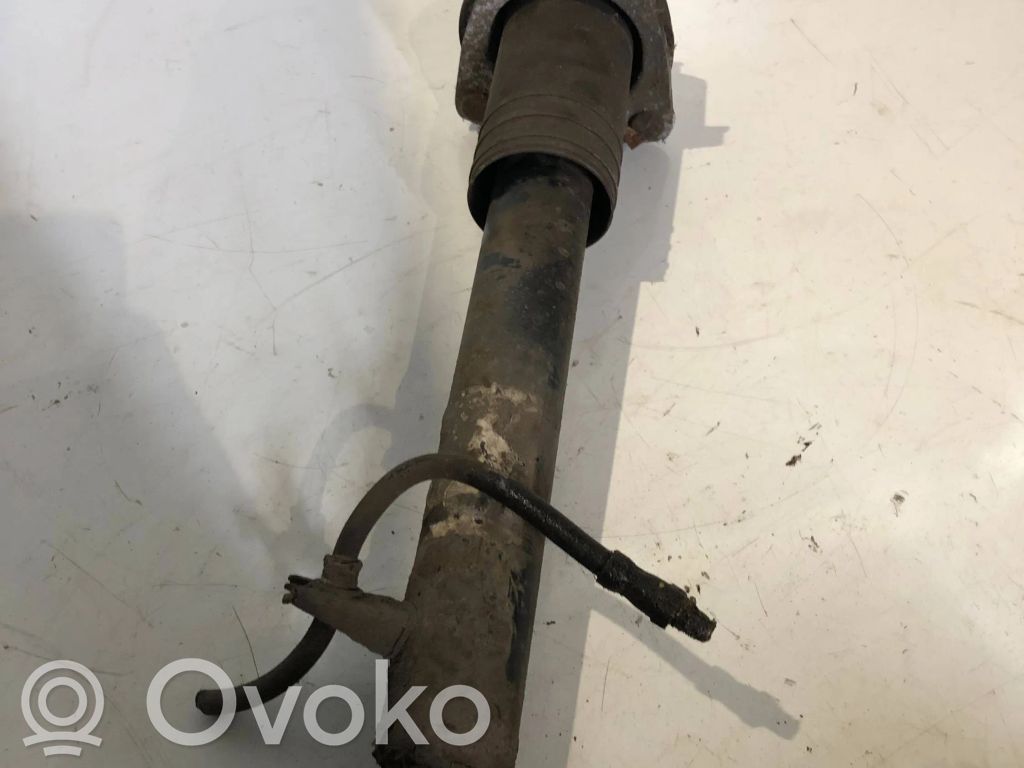 BMW X5 E70 Rear shock absorber/damper 