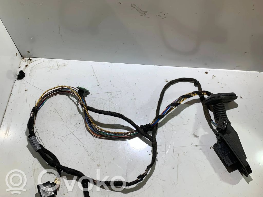 BMW X3 E83 Cableado de puerta trasera 