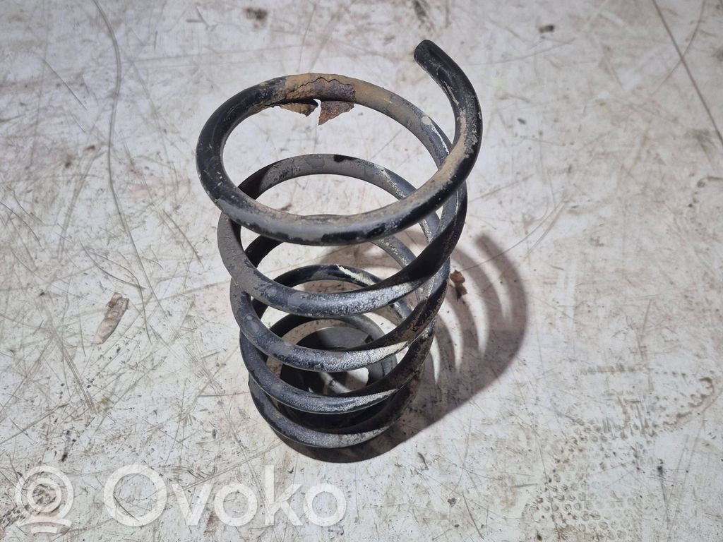 Rear coil spring