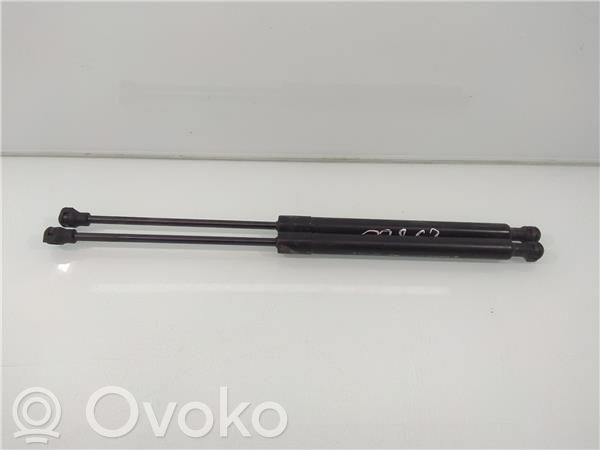 Renault Megane II Ammortizzatore portellone anteriore/cofano
