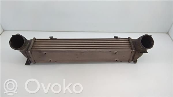 Interkūlerio radiatorius   752491608
