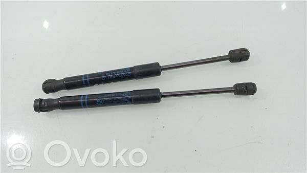 BMW 1 F20 F21 Ammortizzatore portellone anteriore/cofano 