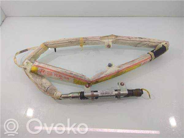 Hyundai i20 (PB PBT) Poduszka powietrzna Airbag drzwi tylnych