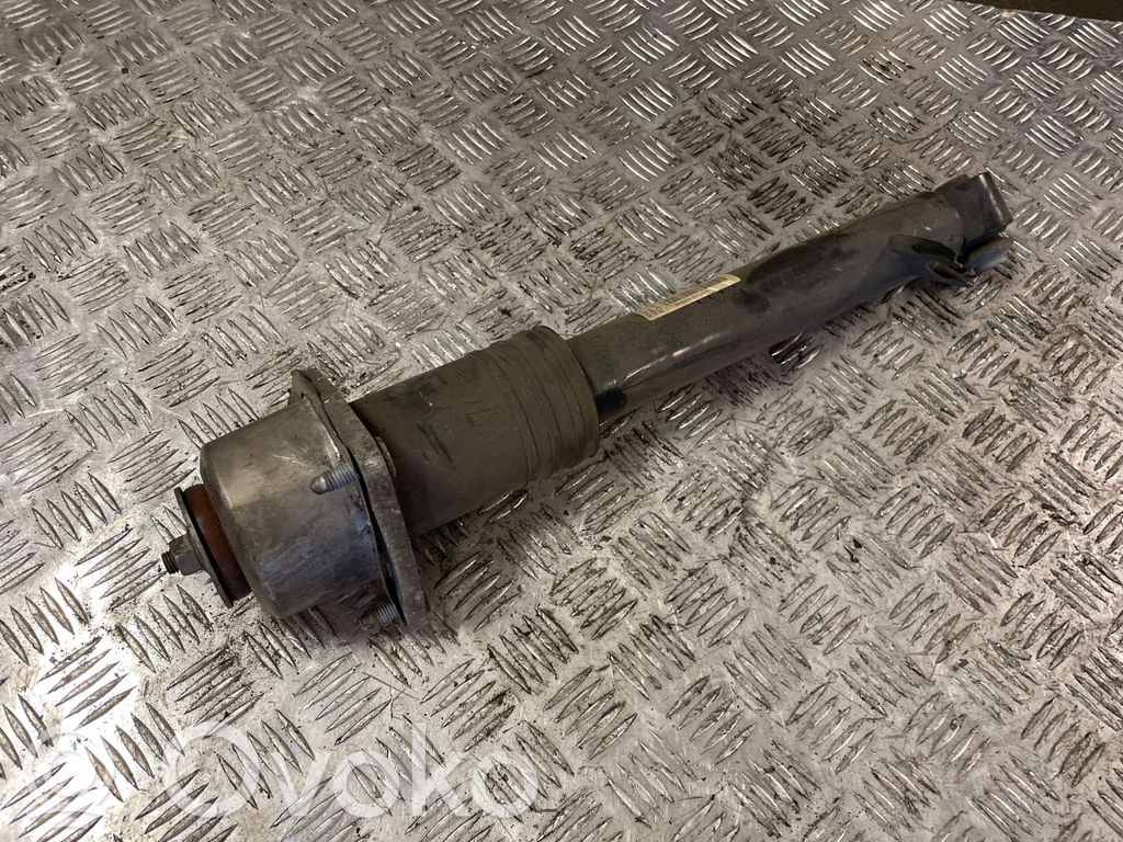 Stoßdämpfer hinten   6780492