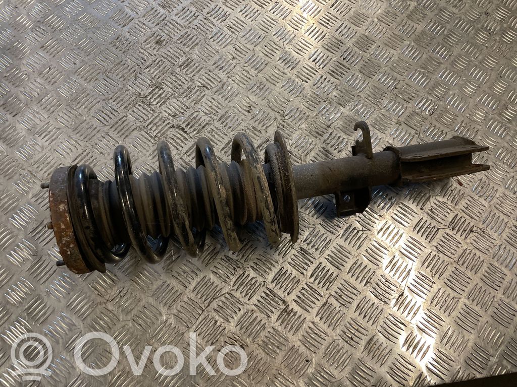 BMW X5 E53 Priekšpusē amortizators 