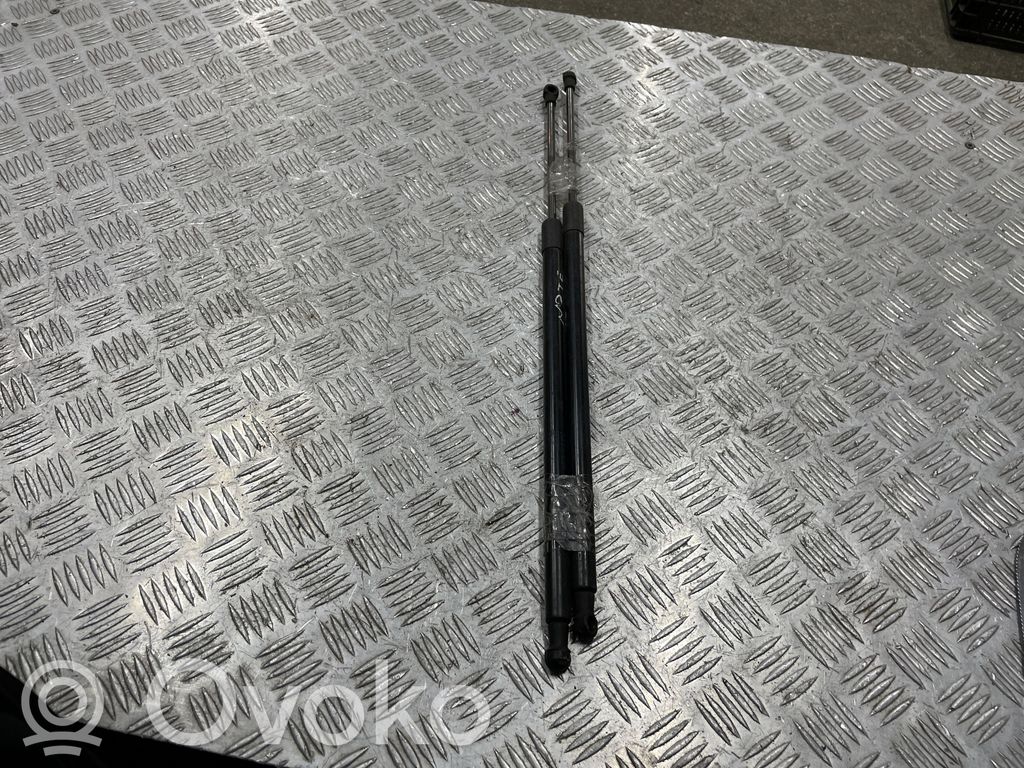 Tailgate/trunk strut/damper   0342870425N