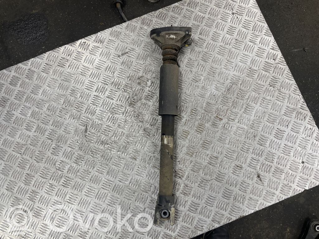 BMW 2 F45 Amortizor spate 