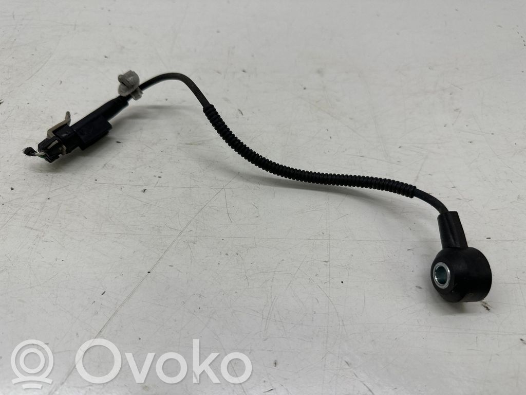 KIA Niro Klopfsensor 