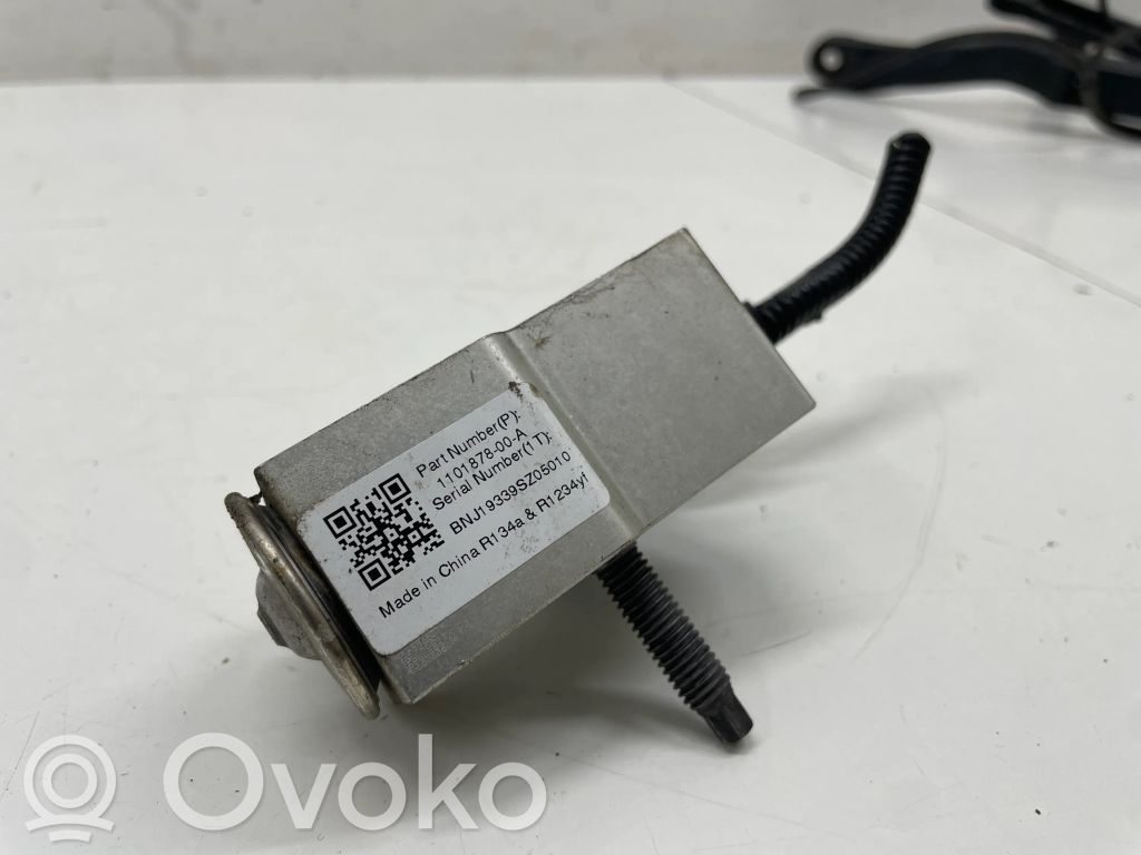 Tesla Model 3 Air conditioning (A/C) expansion valve 