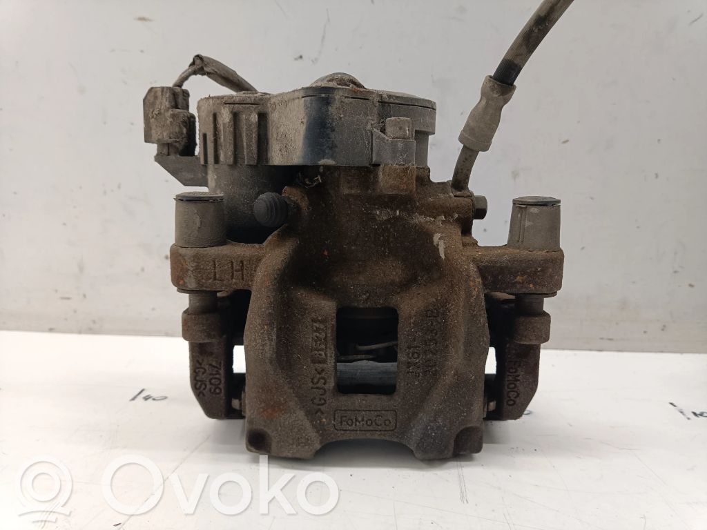 Takajarrusatula   JX6120253B