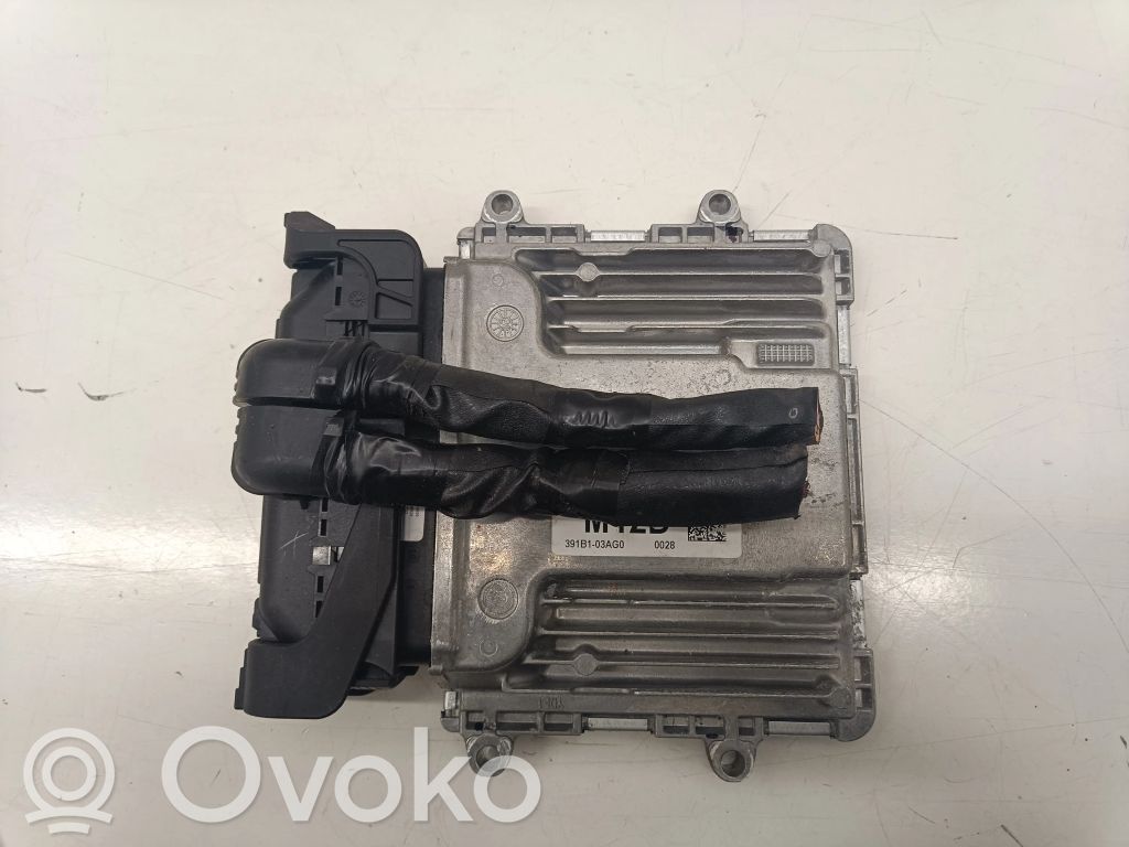Engine control unit/module   391B103AG0,391B503AG0