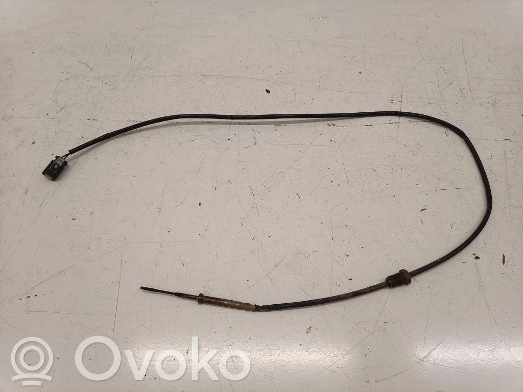 BMW 2 F46 Exhaust gas temperature sensor 