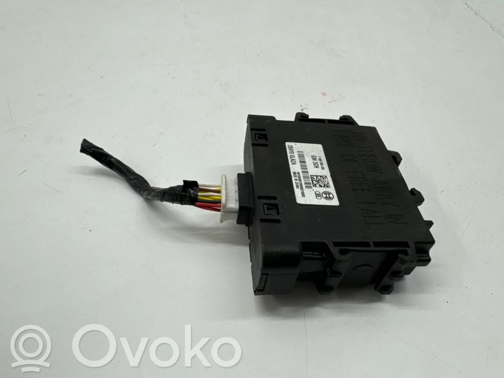 Dacia Spring Other control units/modules 