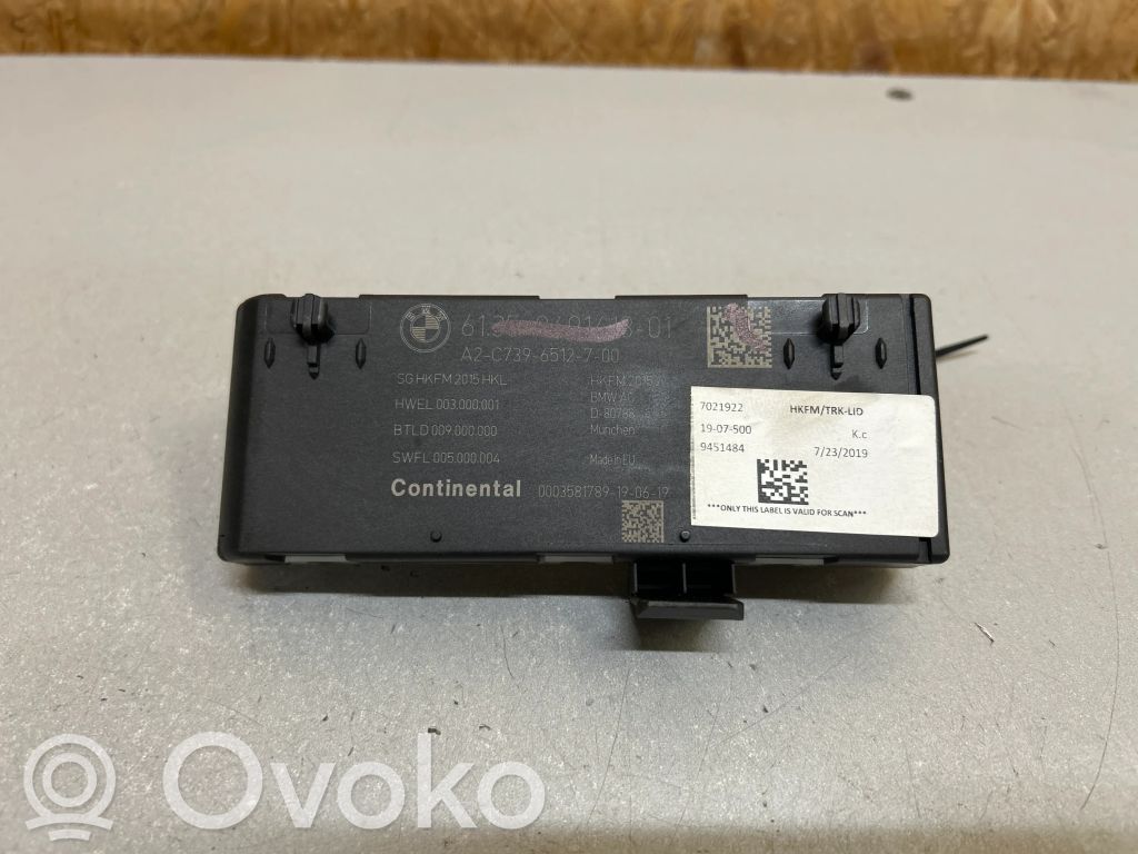 BMW X4 G02 Tailgate/trunk control unit/module 