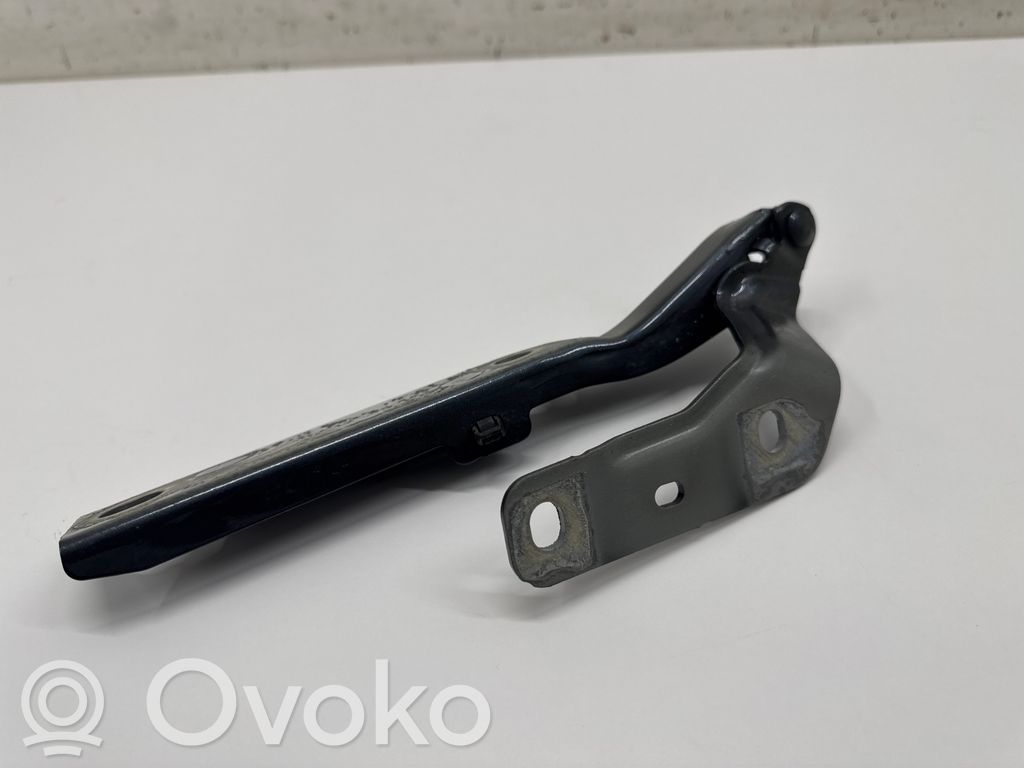 Engine bonnet/hood hinges   5FA823301
