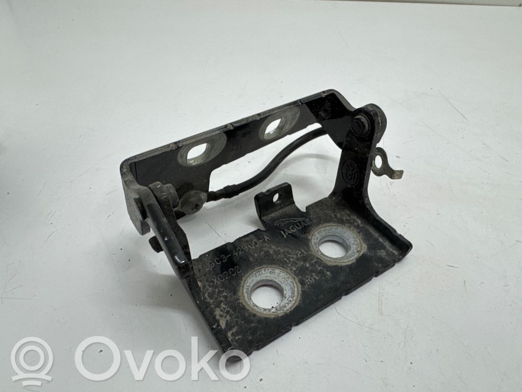 Tailgate/trunk/boot hinge   J9C342900A,XC2C0