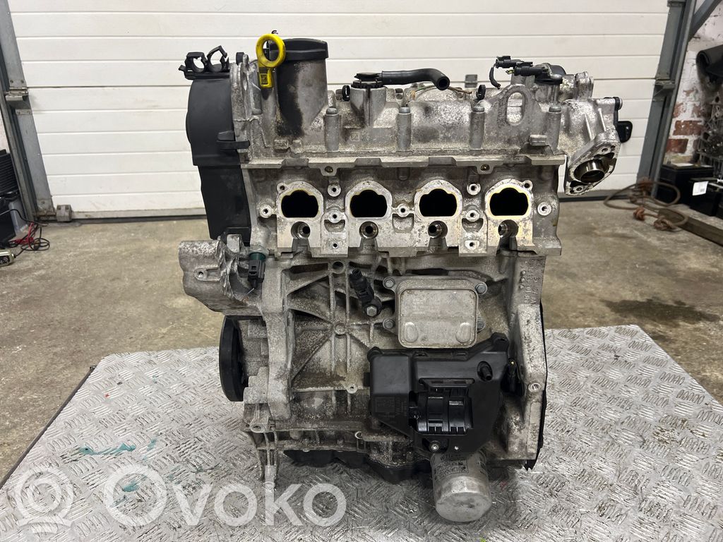 Motor   DGE,DGE022146,04E103023DK