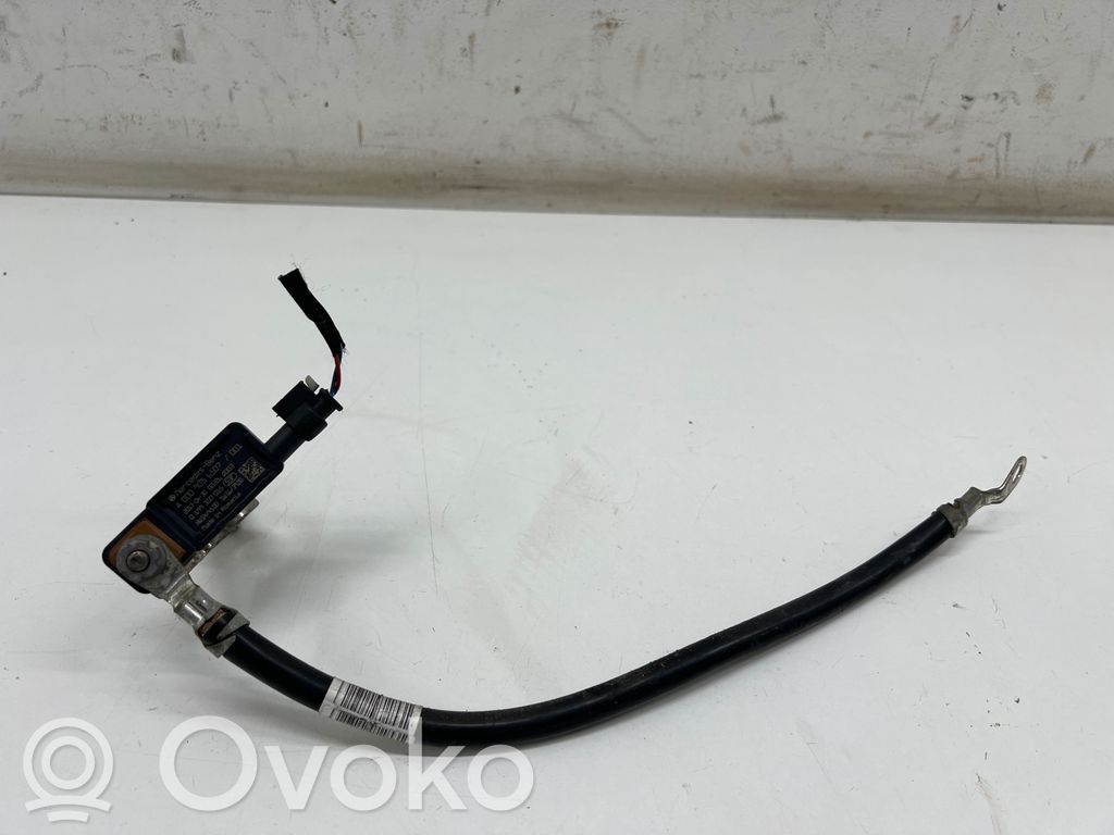 Mercedes-Benz E W213 Cavo negativo messa a terra (batteria) 