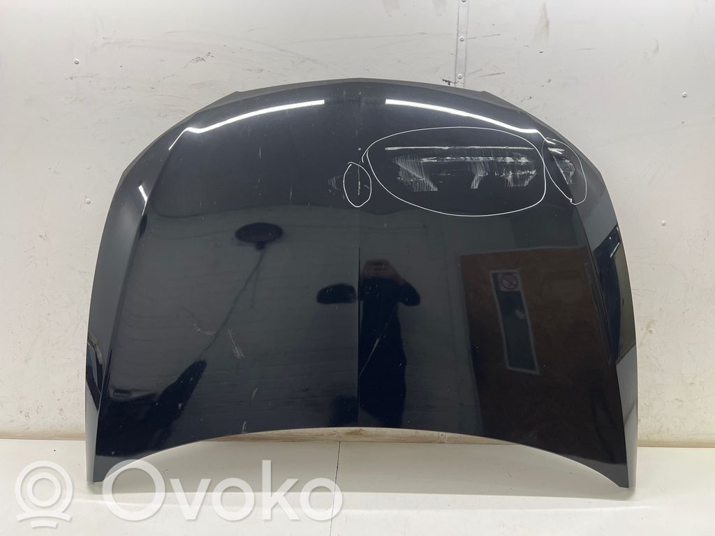 Motorhaube
