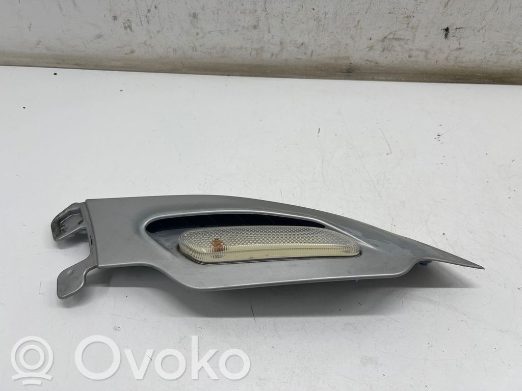 Mini Cooper Countryman R60 Seitenblinker 