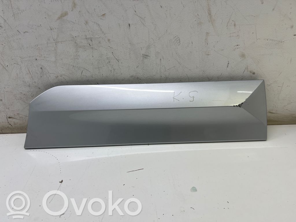 Listwa drzwi tylnych   2GM854949P