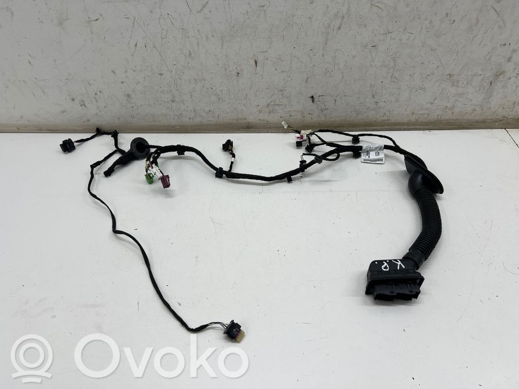 Cableado de puerta delantera   A2955402710