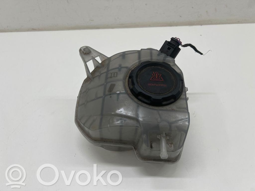 Volkswagen Golf VIII Vas expansiune/rezervor lichid de răcire 
