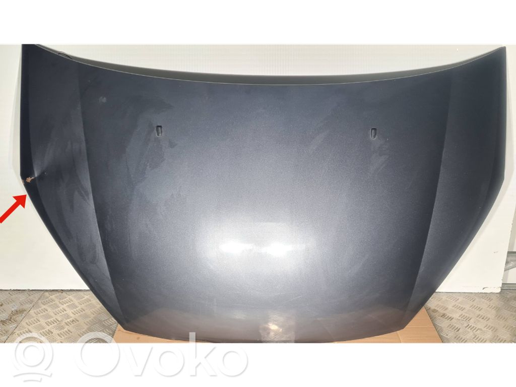 Motorhaube