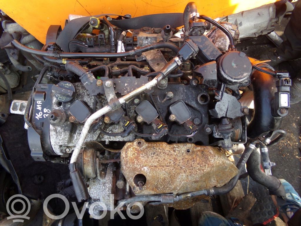 Variklis   955A2000,16MB38