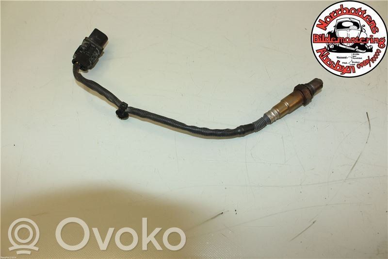 Sonda lambda   55572548,0281004161,55572548