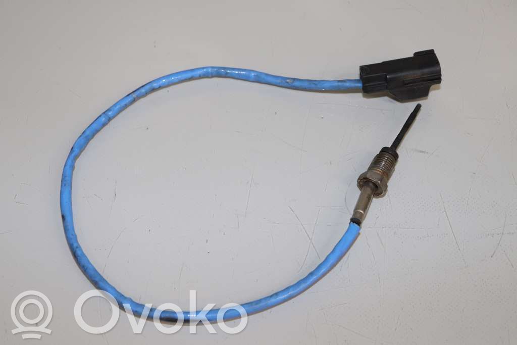 Abgastemperatursensor   1406177