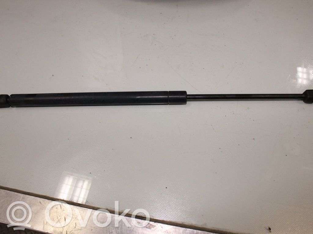 Tailgate strut   6896002030,6896002030