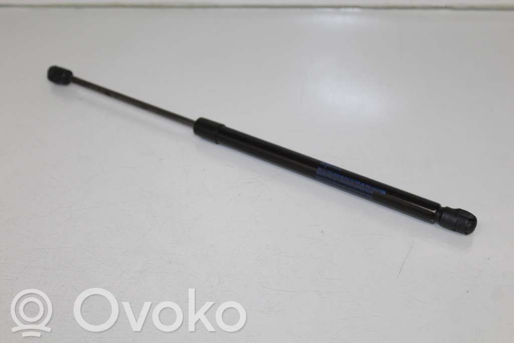 Tailgate strut   844301324R,904508505R